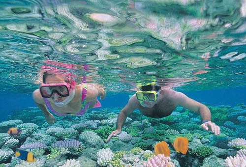 ทัวร์ออสเตรเลีย AUSTRALIA DIVING EXTREME 